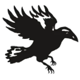Logo von Raven Edelstahlschmuck e. U.