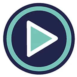 Logo von Video-Solution